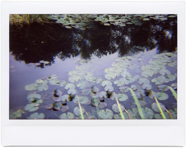 Catalogue raisonné, Henri Foucault, Giverny 5 - 2014