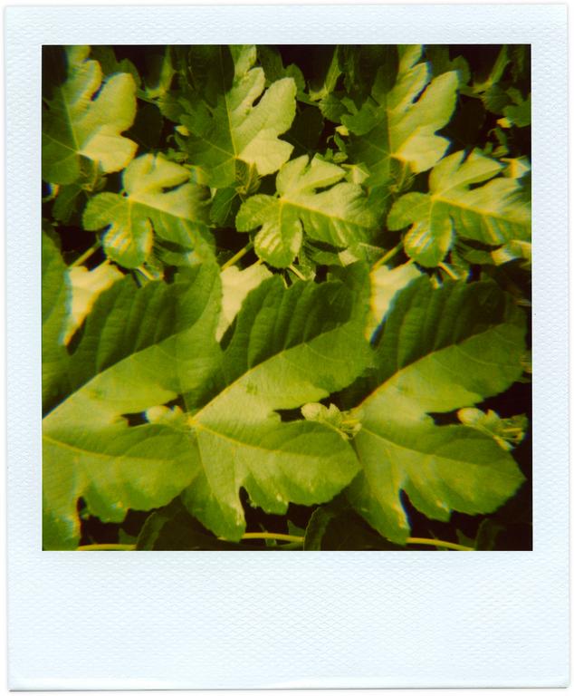 Catalogue raisonné, Henri Foucault, Pola-vibrations 10 - 2008