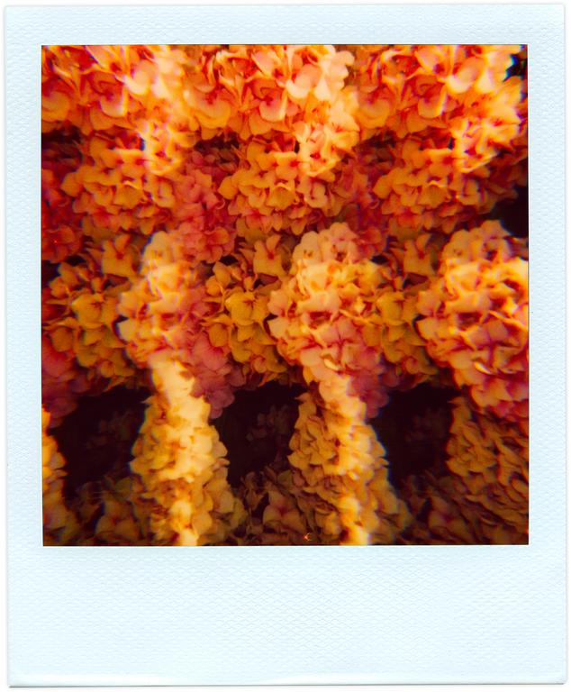 Catalogue raisonné, Henri Foucault, Pola-vibrations 24 - 2008