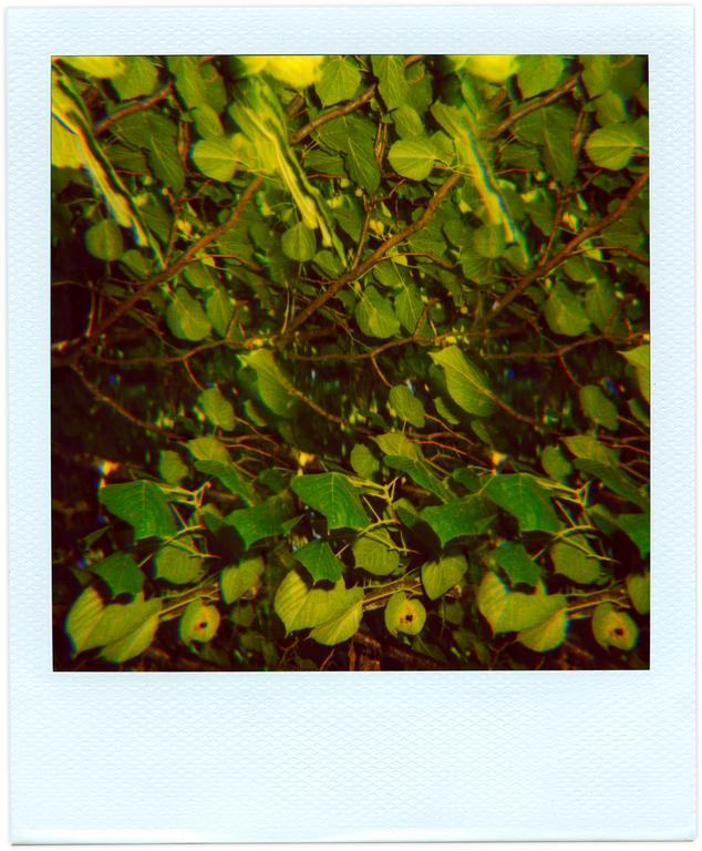 Catalogue raisonné, Henri Foucault, Pola-vibrations 39 - 2008