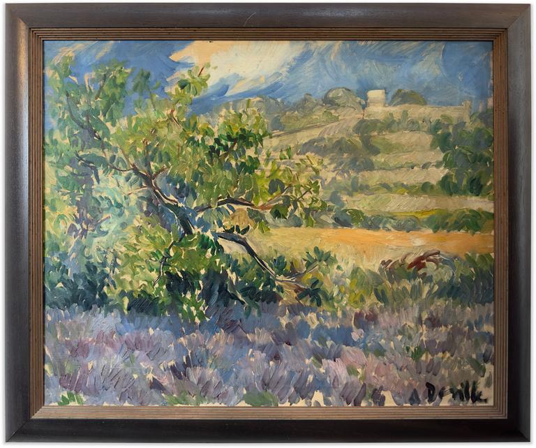Champs de lavande, circa 1965