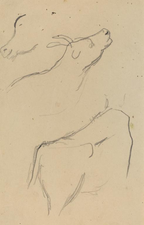 Paul Gauguin, Études d'une vache, 1884-1888