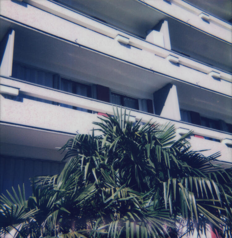 Marie Ouazzani & Nicolas Carrier, Cité palmiers 025, 2021