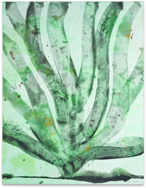 Catalogue raisonné, Patrick Baillet, Cactus - 2013