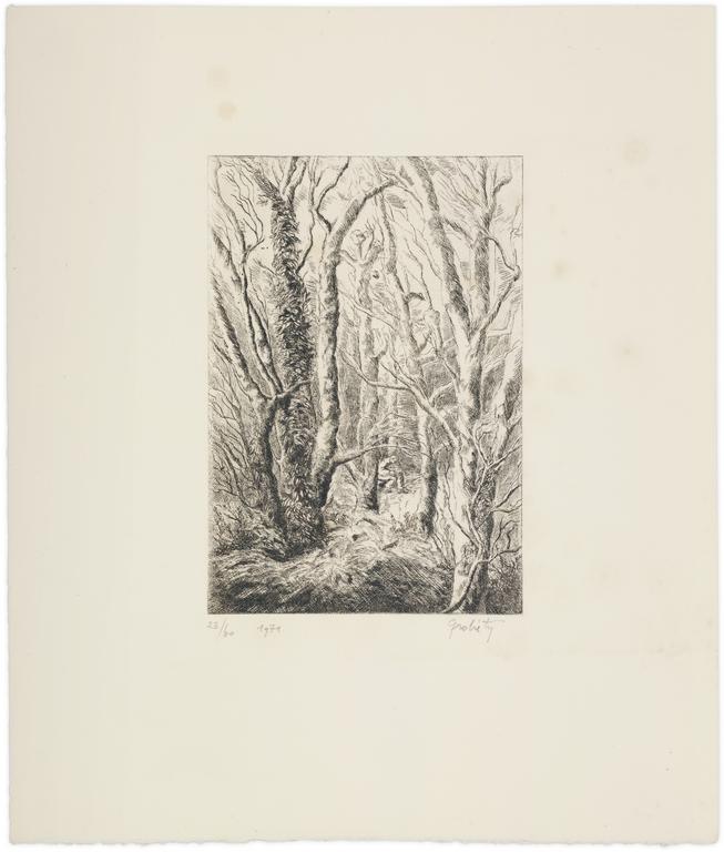 Catalogue raisonné, Claude Grobéty, Lecteur dans le bois de Meudon - (1970)	