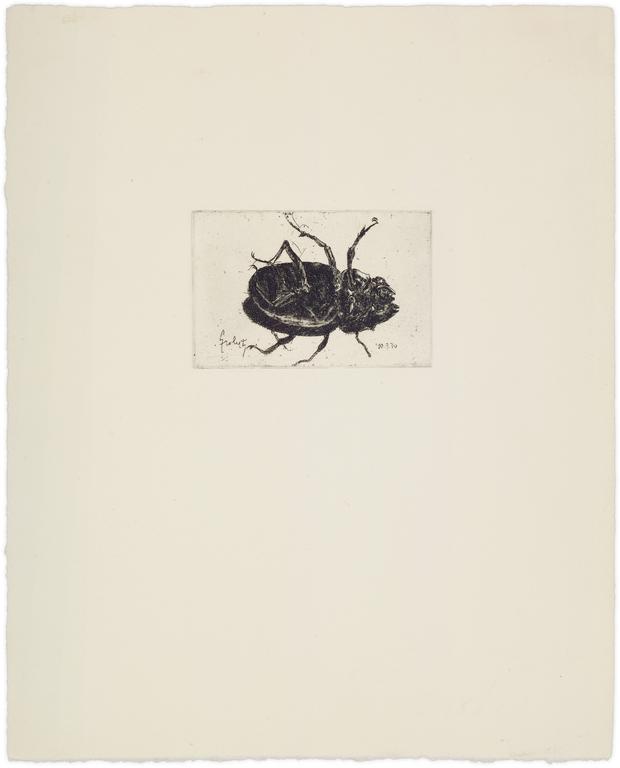 Catalogue raisonné, Claude Grobéty, Le scarabée