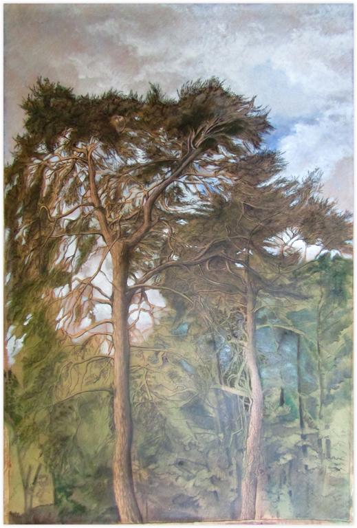 Catalogue raisonné, Claude Grobéty, Les grands pins, ciel bleu - 1973 