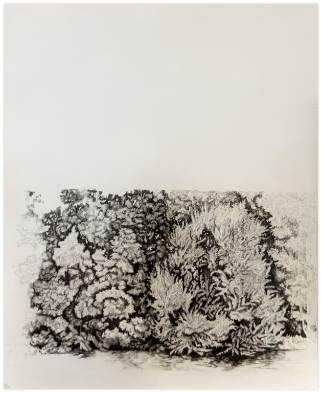 Catalogue raisonné, Claude Grobéty, Le Bord du canal - 1970