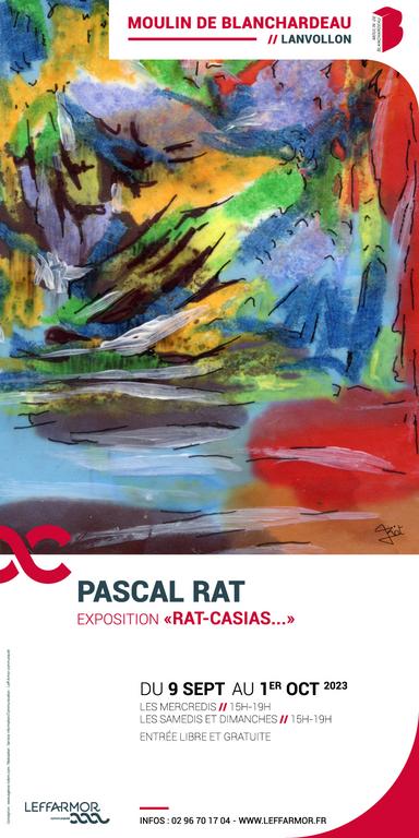 Rat-casias exposition de Pascal Rat