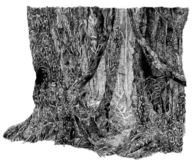 Forêt