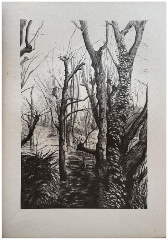 Catalogue raisonné, Claude Grobéty, Dans la forêt de Meudon - 1971