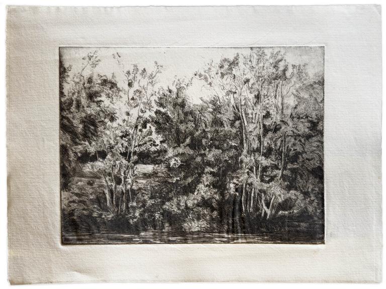 Catalogue raisonné, Claude Grobéty, Taillis vendéen - 1966