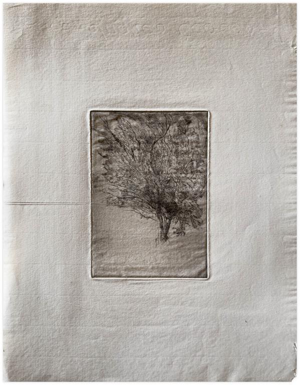 Catalogue raisonné, Claude Grobéty, Le pommier - 1967