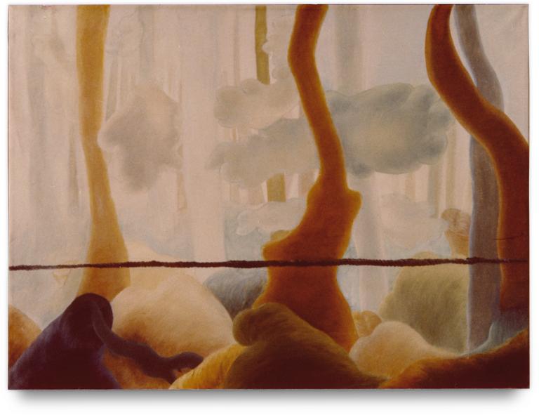 Catalogue raisonné, Bernadette Delrieu, Paysage à la corde - 1969