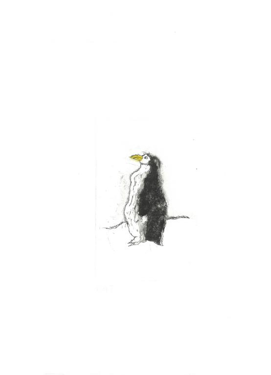 Image Pingouin 