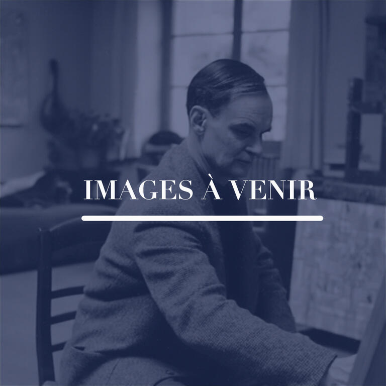 Catalogue raisonné, Hans Seiler Images à venir