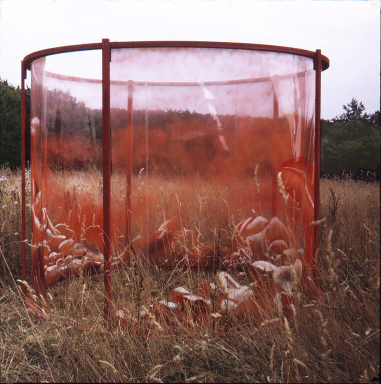 Catalogue raisonné, Bernadette Delrieu, Rhodoïd - 1974