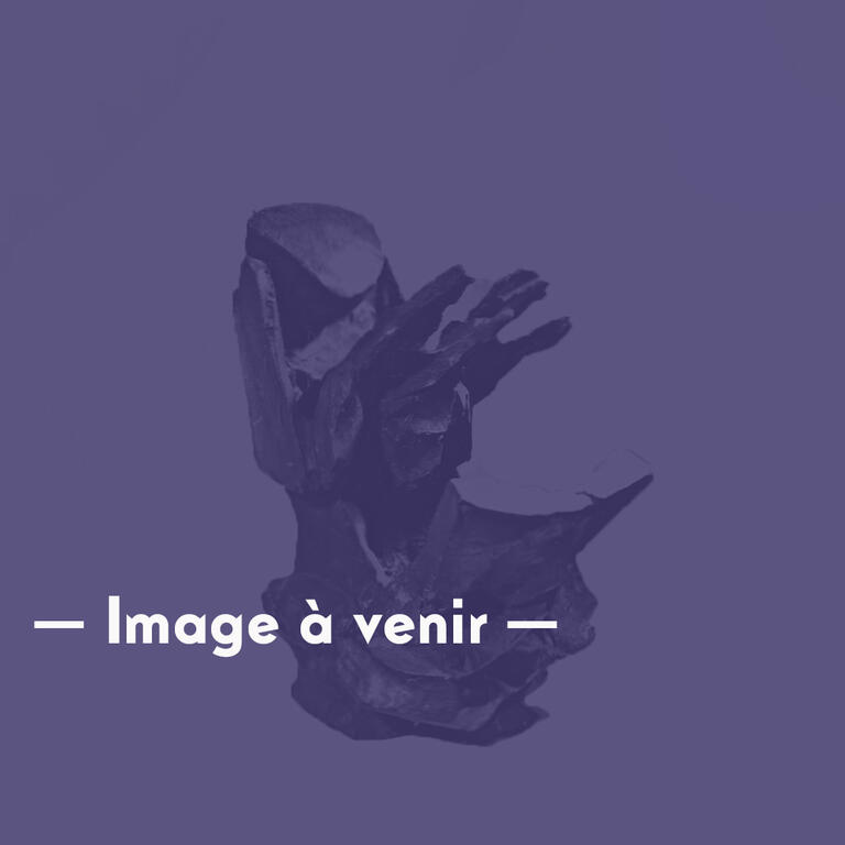 Catalogue raisonné, Isabelle Waldberg, Homnivore, 1975