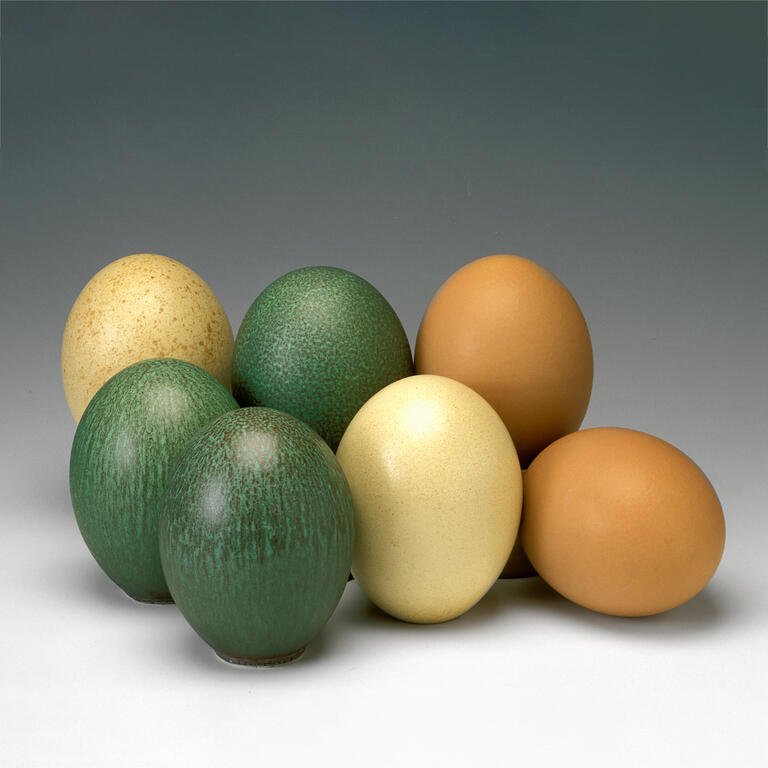 Catalogue raisonné, Oeufs — 1975