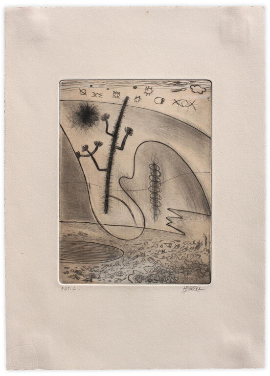 Catalogue raisonné, Henri Baviera, MUTATION ORGANIQUE — 2019