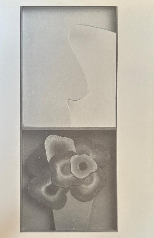 Catalogue raisonné, Claude Gilli, Anatomie d'un sein — 1964