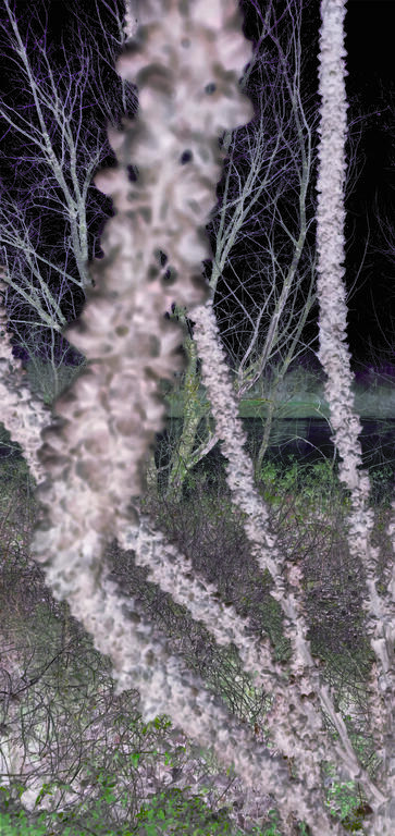 Catalogue raisonné, Daniel Boursin, 3FV émanation — 2022