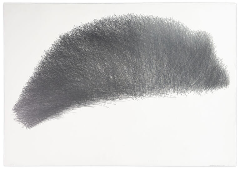 Catalogue raisonné, Michel Mousseau, Mercredi 10 - 2013