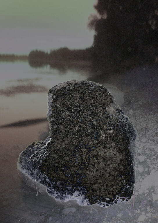 Catalogue raisonné, Daniel Boursin, sentinelle rocher — 2008