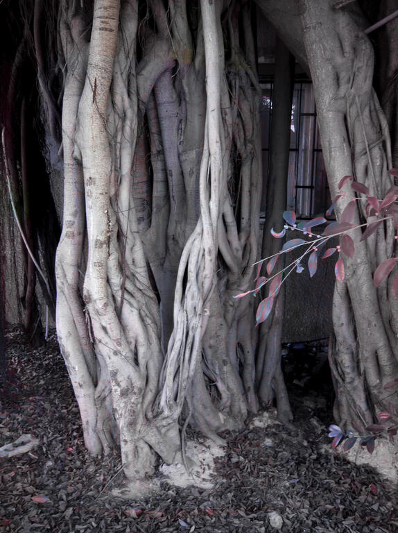 Catalogue raisonné, Daniel Boursin, sitting in limbo — 2008