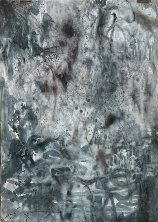 Catalogue raisonné, Daniel Boursin, onde rivulaire — 2012