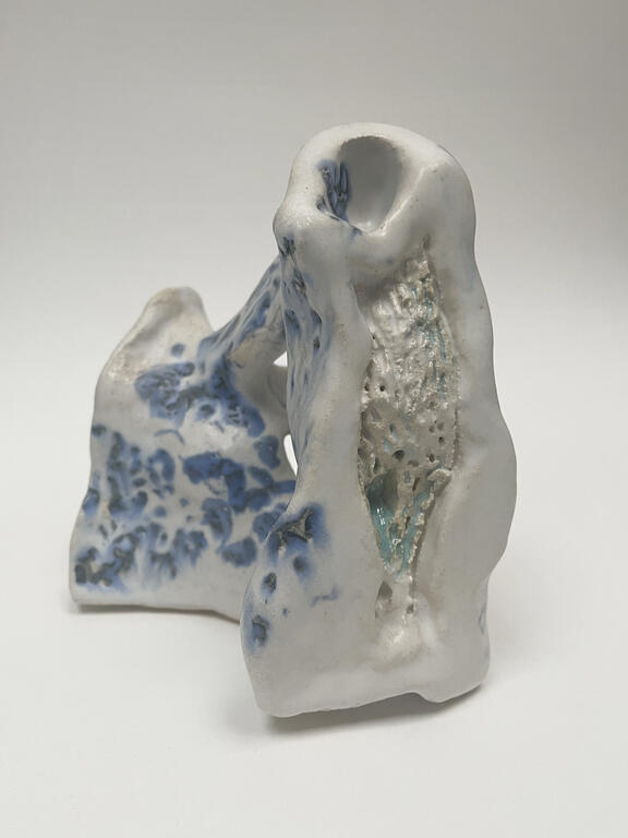 Catalogue raisonné, Daniel Boursin, bony blue — 2019