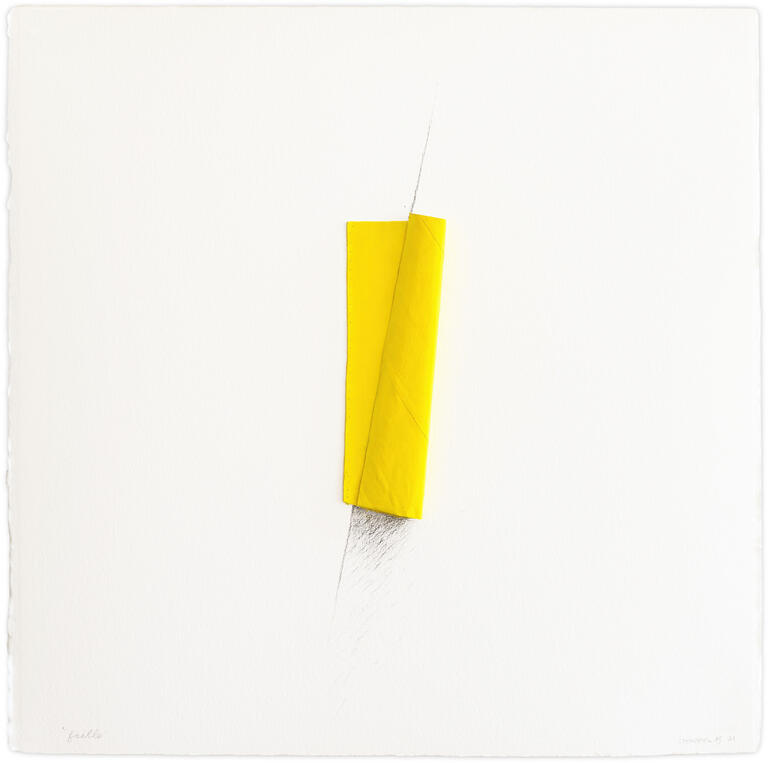 Catalogue raisonné, André Stempfel, Faille — 2021