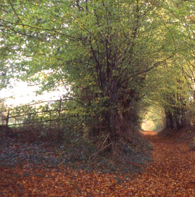 Catalogue raisonné, Bernadette Delrieu, Chemins n°02 - 1998-1999