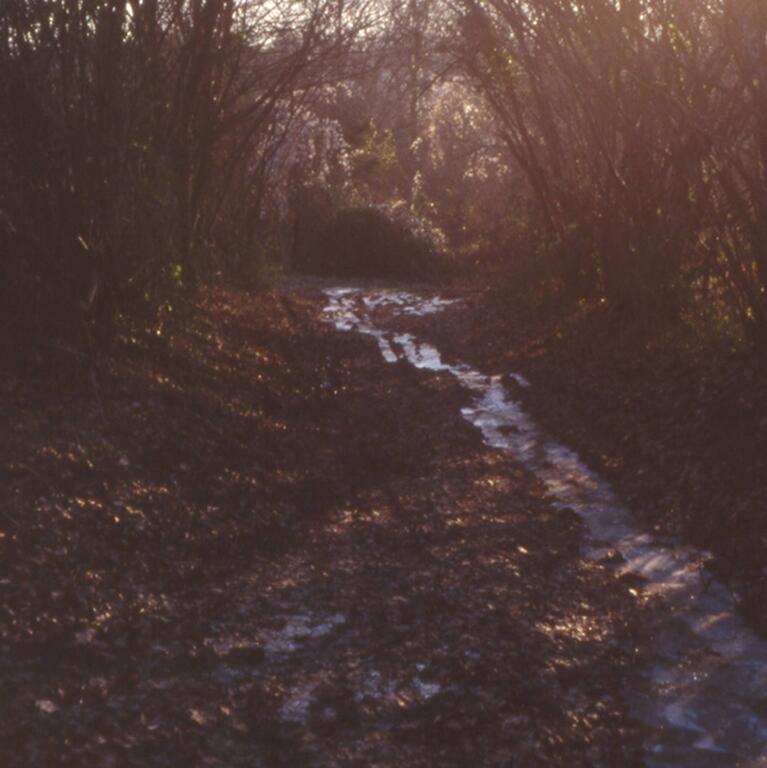 Catalogue raisonné, Bernadette Delrieu, Chemins n°03 - 1998-1999