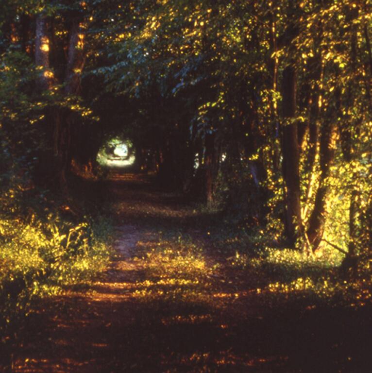 Catalogue raisonné, Bernadette Delrieu, Chemins n°05 - 1998-1999