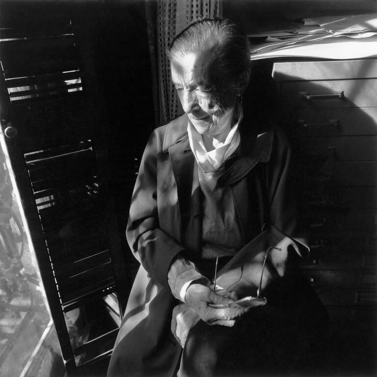 Catalogue raisonné, Philipp Hugues Bonan, Louise Bourgeois