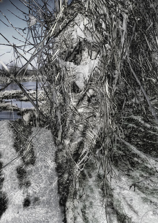 Catalogue raisonné, Daniel Boursin, phyto-fétiche — 2005