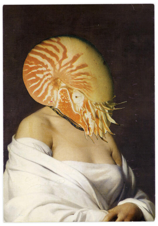 Catalogue raisonné, Henri Foucault, Double Jeu, Hippolyte Flandrin - 2022