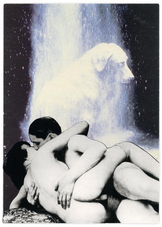 Catalogue raisonné, Henri Foucault, Double Jeu, William Wegman - 2022