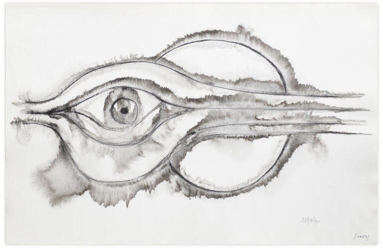 Catalogue raisonné, Henri Maccheroni, Sans titre, Le poisson, le caelacante, Journal de l’œuvre - 1960