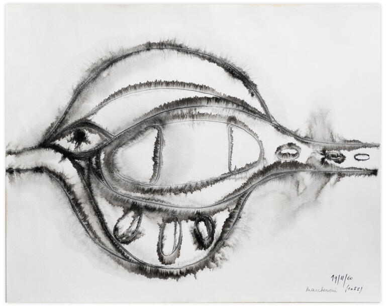 Catalogue raisonné, Henri Maccheroni, Sans titre, Le poisson, le caelacante, Journal de l’œuvre - 1960