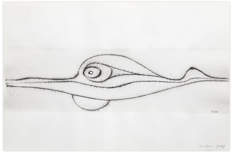 Catalogue raisonné, Henri Maccheroni, Sans titre, Le poisson, le caelacante, Journal de l’œuvre - 1961