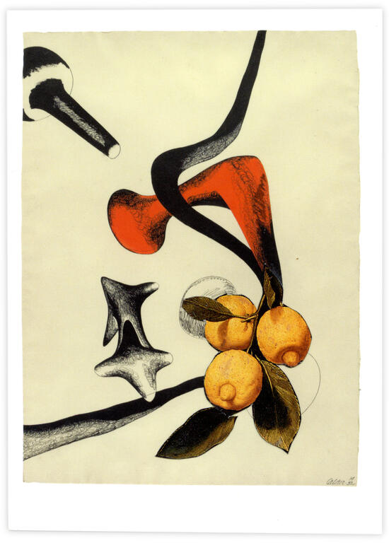 Catalogue raisonné, Henri Foucault, Double Jeu, Alexander Calder - 2022