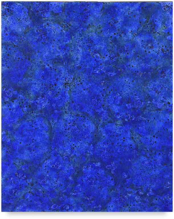 Catalogue raisonné, Henri Maccheroni, Nymphéas II, Jardins d'eaux et autres paysages