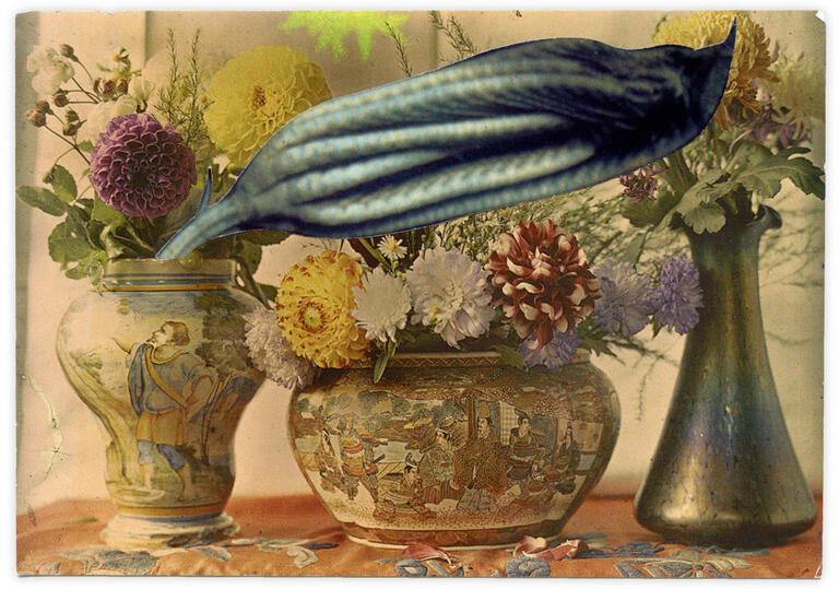 Catalogue raisonné, Henri Foucault, Double Jeu, Jules Antoine - 2022