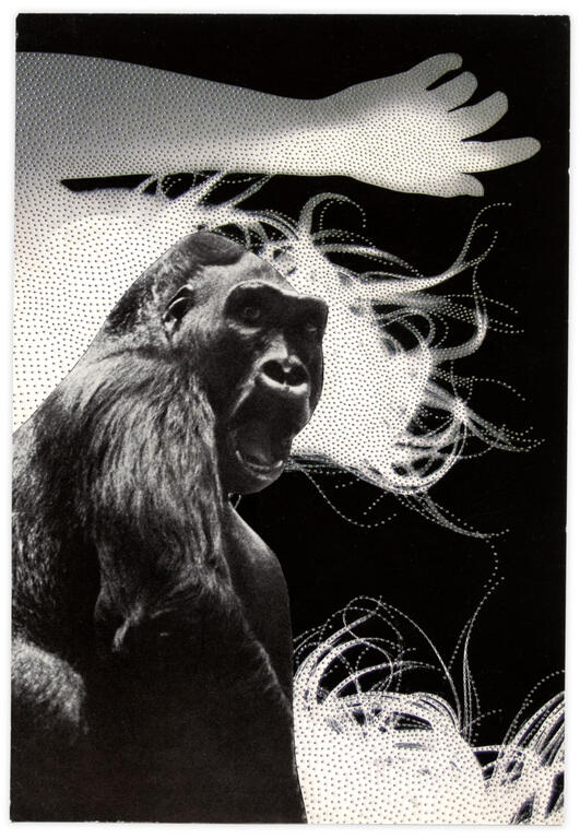 Catalogue raisonné, Henri Foucault, Double jeu, Henri Foucault - 2022