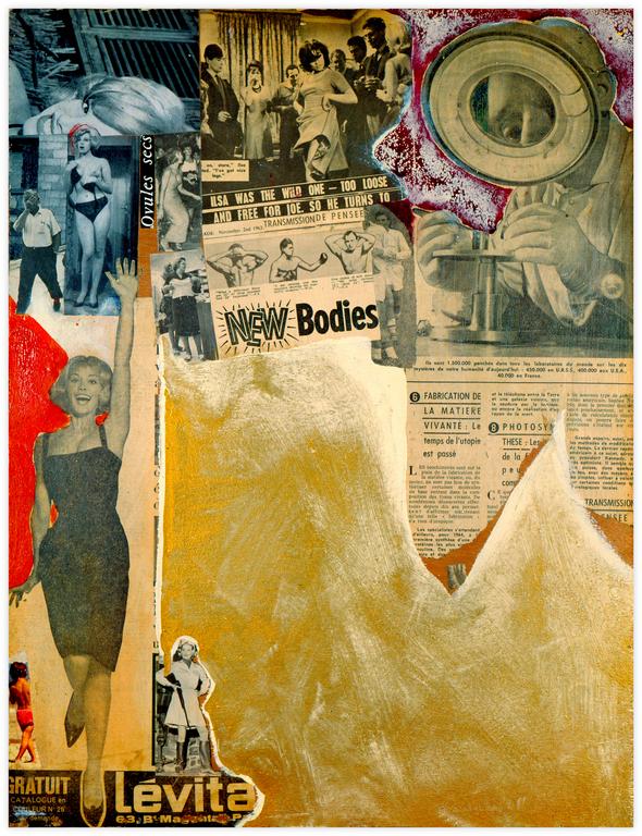 Catalogue raisonné, Jean-Jacques Lebel, Ovules secs - 1962