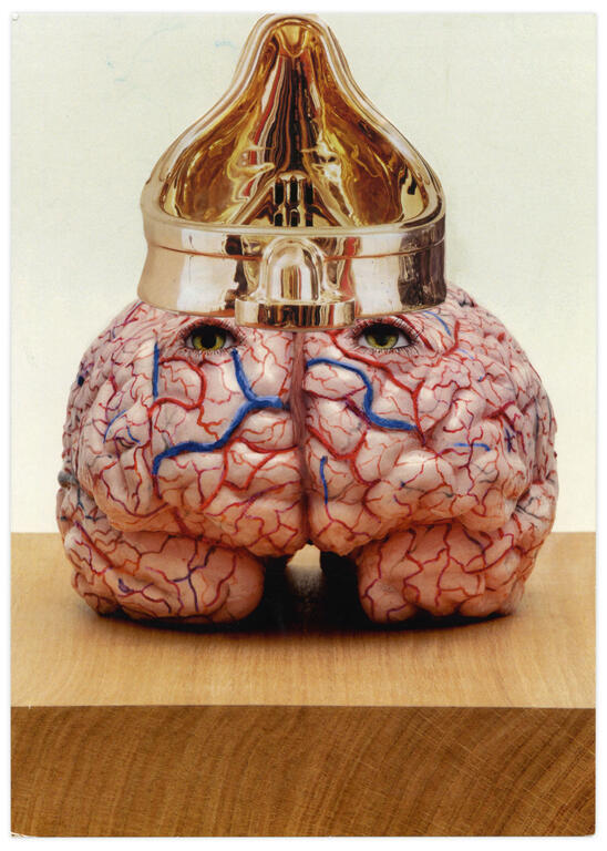 Catalogue raisonné, Henri Foucault, Double Jeu, Jan Fabre - 2022