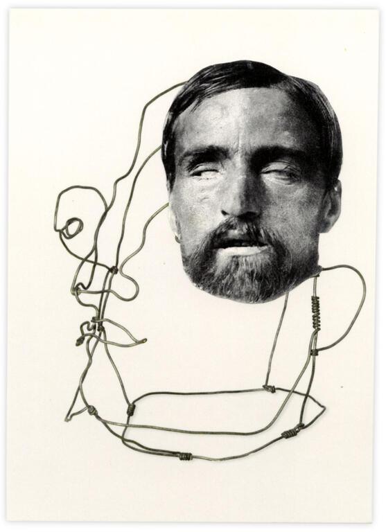 Catalogue raisonné, Henri Foucault, Double jeu, Alexander Calder - 2022