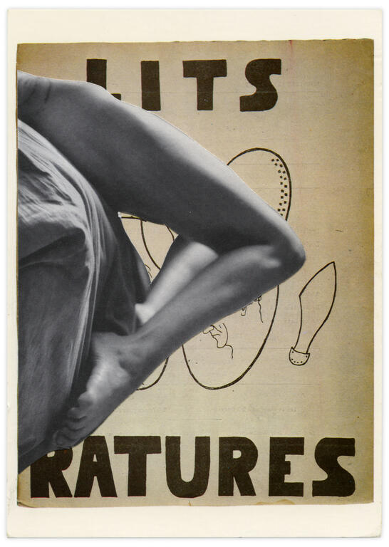 Catalogue raisonné, Henri Foucault, Double jeu, Francis Picabia - 2022